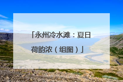 永州冷水滩：夏日荷韵浓（组图）