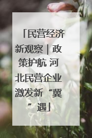 民营经济新观察｜政策护航 河北民营企业激发新“冀”遇