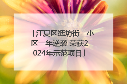 江夏区纸坊街一小区一年逆袭 荣获2024年示范项目