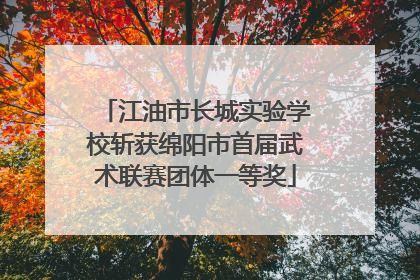江油市长城实验学校斩获绵阳市首届武术联赛团体一等奖