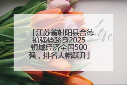 江苏省射阳县合德镇强势跻身2025镇域经济全国500强，排名大幅跃升