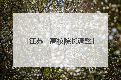 江苏一高校院长调整