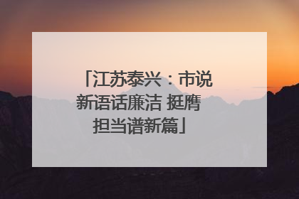 江苏泰兴：市说新语话廉洁 挺膺担当谱新篇