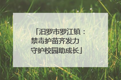 汨罗市罗江镇：禁毒护苗齐发力 守护校园助成长