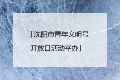 沈阳市青年文明号开放日活动举办