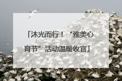 沐光而行！“雅美心育节”活动温暖收官