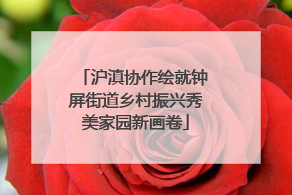 沪滇协作绘就钟屏街道乡村振兴秀美家园新画卷