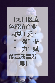 河口区蓝色经济产业园党工委：“三强”提“三力”赋能高质量发展