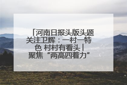 河南日报头版头题关注卫辉：一村一特色 村村有看头 ︳聚焦“两高四着力”·一“县”观察