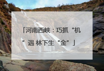 河南西峡：巧抓“机”遇 林下生“金”