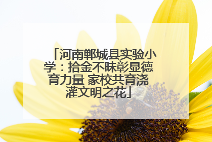 河南郸城县实验小学：拾金不昧彰显德育力量 家校共育浇灌文明之花
