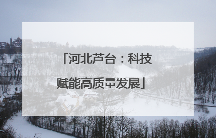 河北芦台：科技赋能高质量发展