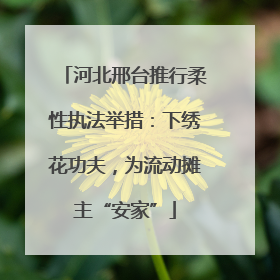 河北邢台推行柔性执法举措：下绣花功夫，为流动摊主“安家”