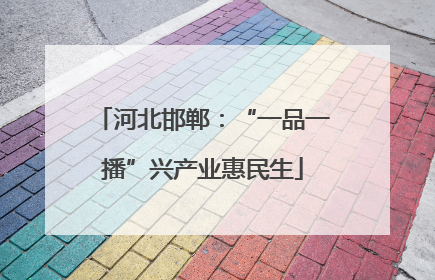 河北邯郸：“一品一播”兴产业惠民生