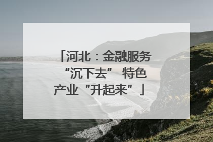 河北：金融服务“沉下去” 特色产业“升起来”