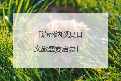 泸州纳溪夏日文旅盛宴启幕