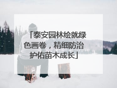 泰安园林绘就绿色画卷，精细防治护佑苗木成长