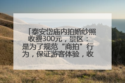 泰安岱庙内拍婚纱照收费300元，景区：是为了规范“商拍”行为，保证游客体验，收取费用全部上交国库