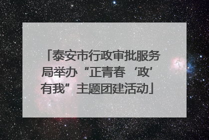 泰安市行政审批服务局举办“正青春‘政’有我”主题团建活动
