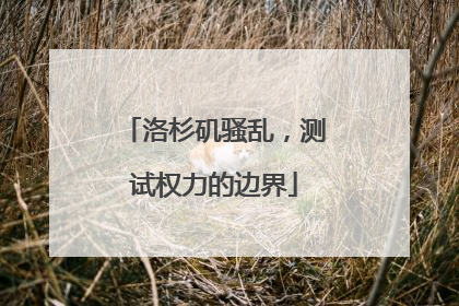 洛杉矶骚乱，测试权力的边界