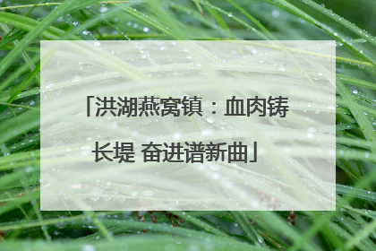 洪湖燕窝镇：血肉铸长堤 奋进谱新曲