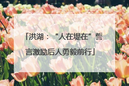 洪湖：“人在堤在”誓言激励后人勇毅前行