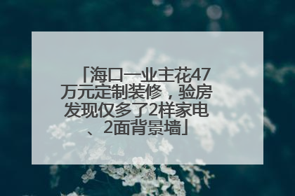 海口一业主花47万元定制装修，验房发现仅多了2样家电、2面背景墙