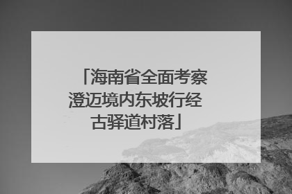 海南省全面考察澄迈境内东坡行经古驿道村落