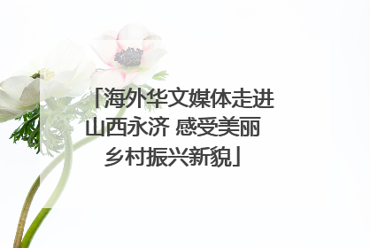 海外华文媒体走进山西永济 感受美丽乡村振兴新貌