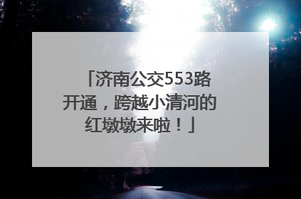 济南公交553路开通，跨越小清河的红墩墩来啦！