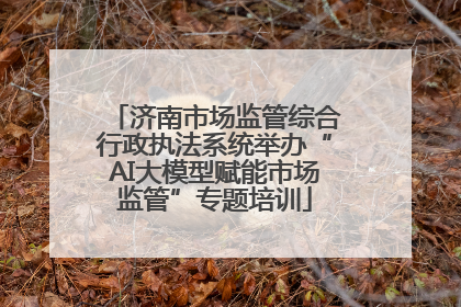 济南市场监管综合行政执法系统举办“AI大模型赋能市场监管”专题培训