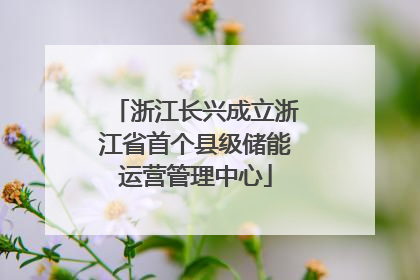 浙江长兴成立浙江省首个县级储能运营管理中心