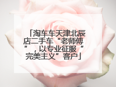 淘车车天津北辰店二手车“老师傅”，以专业征服“完美主义”客户
