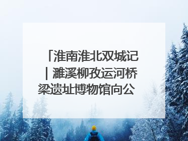 淮南淮北双城记｜濉溪柳孜运河桥梁遗址博物馆向公众开放 可沉浸式触摸历史
