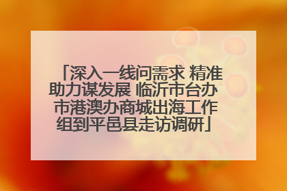 深入一线问需求 精准助力谋发展 临沂市台办 市港澳办商城出海工作组到平邑县走访调研