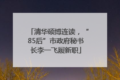 清华硕博连读，“85后”市政府秘书长李一飞履新职