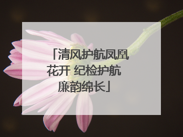 清风护航凤凰花开 纪检护航廉韵绵长