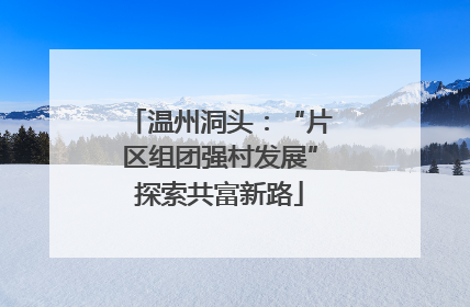 温州洞头：“片区组团强村发展”探索共富新路