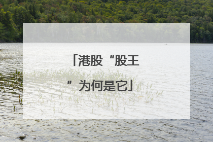 港股“股王”为何是它