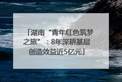 湖南“青年红色筑梦之旅”:8年深耕基层创造效益近5亿元