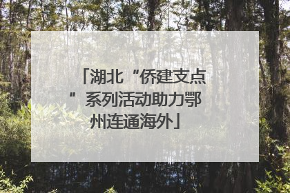 湖北“侨建支点”系列活动助力鄂州连通海外