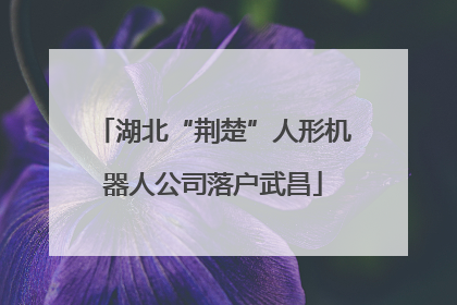 湖北“荆楚”人形机器人公司落户武昌