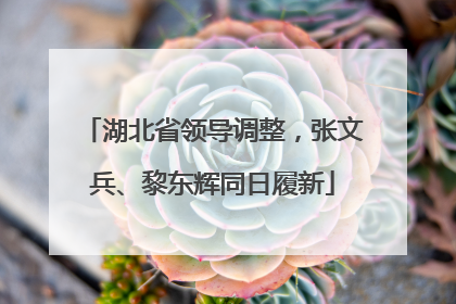 湖北省领导调整，张文兵、黎东辉同日履新