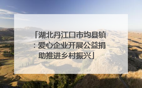 湖北丹江口市均县镇：爱心企业开展公益捐助推进乡村振兴