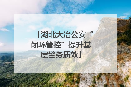 湖北大冶公安“闭环管控”提升基层警务质效