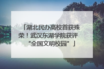 湖北民办高校首获殊荣！武汉东湖学院获评“全国文明校园”