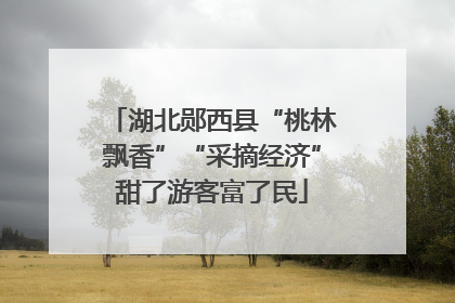湖北郧西县“桃林飘香”“采摘经济”甜了游客富了民