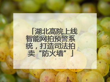 湖北高院上线智能网拍预警系统，打造司法拍卖“防火墙”