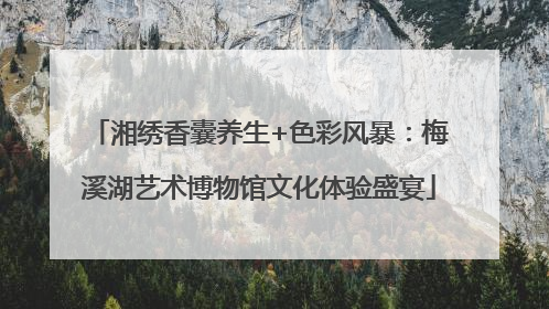 湘绣香囊养生+色彩风暴：梅溪湖艺术博物馆文化体验盛宴