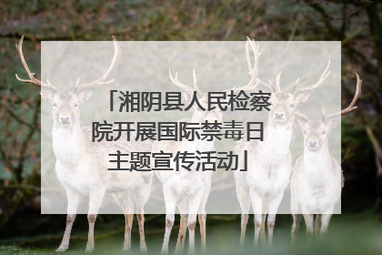 湘阴县人民检察院开展国际禁毒日主题宣传活动